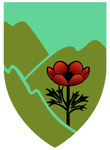 91st Division Galilee